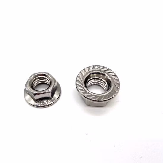 A4-80 A2-70 Fixador de porcas flangeadas sextavadas de aço inoxidável